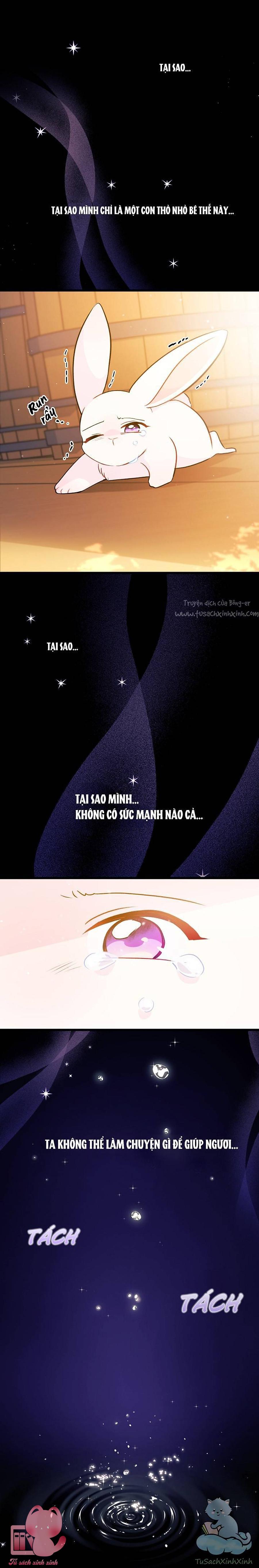 Quan Hệ Cộng Sinh Giữa Báo Đen Và Thỏ Trắng Chap 28 - Trang 2