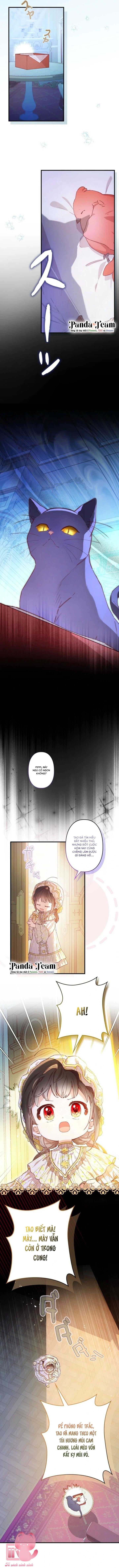 Kiếp Này Em Sẽ Không Sống Dưới Cái Bóng Của Người Chị Song Sinh Chap 7 - Trang 3