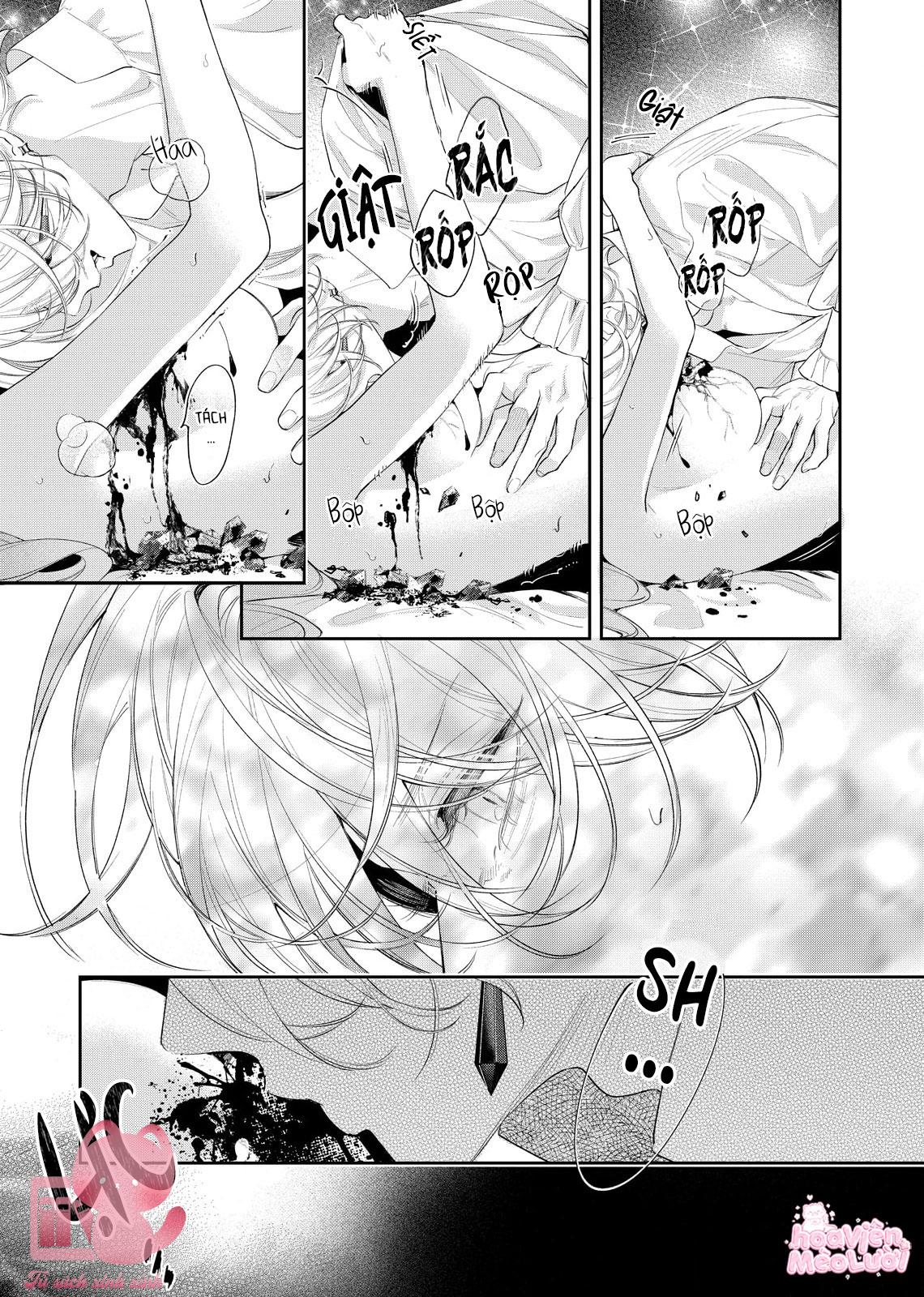 Hoa Hồng Ẩn Giấu Sao Băng Chapter 8 - Trang 4