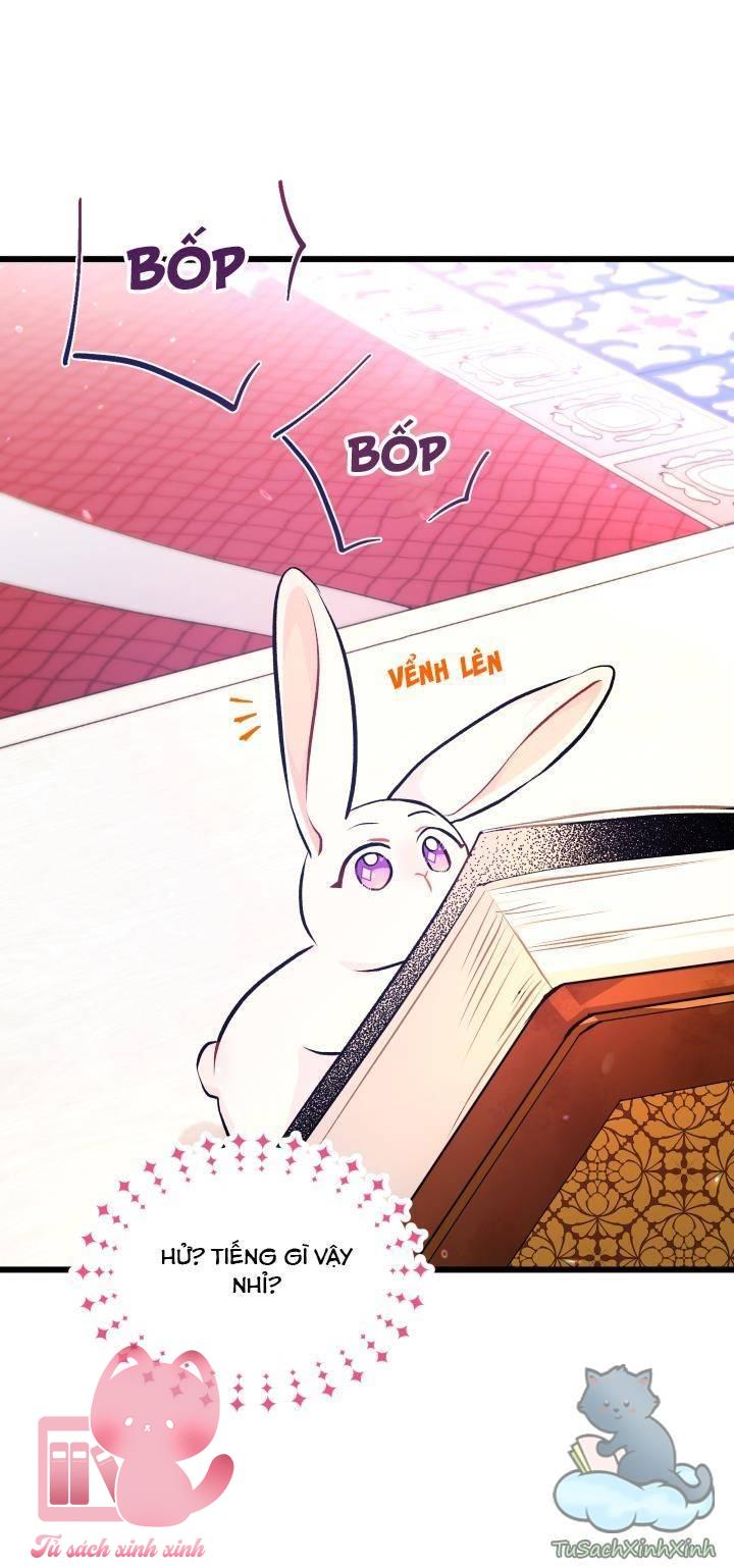 Quan Hệ Cộng Sinh Giữa Báo Đen Và Thỏ Trắng Chap 8 - Trang 2