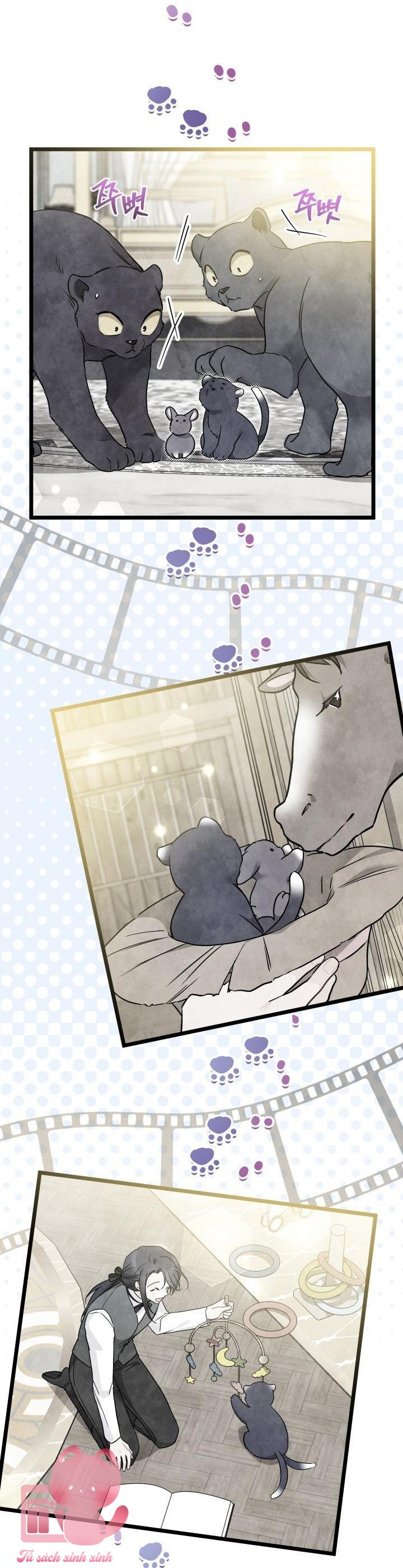 Quan Hệ Cộng Sinh Giữa Báo Đen Và Thỏ Trắng Chap NTĐB6 - Trang 2