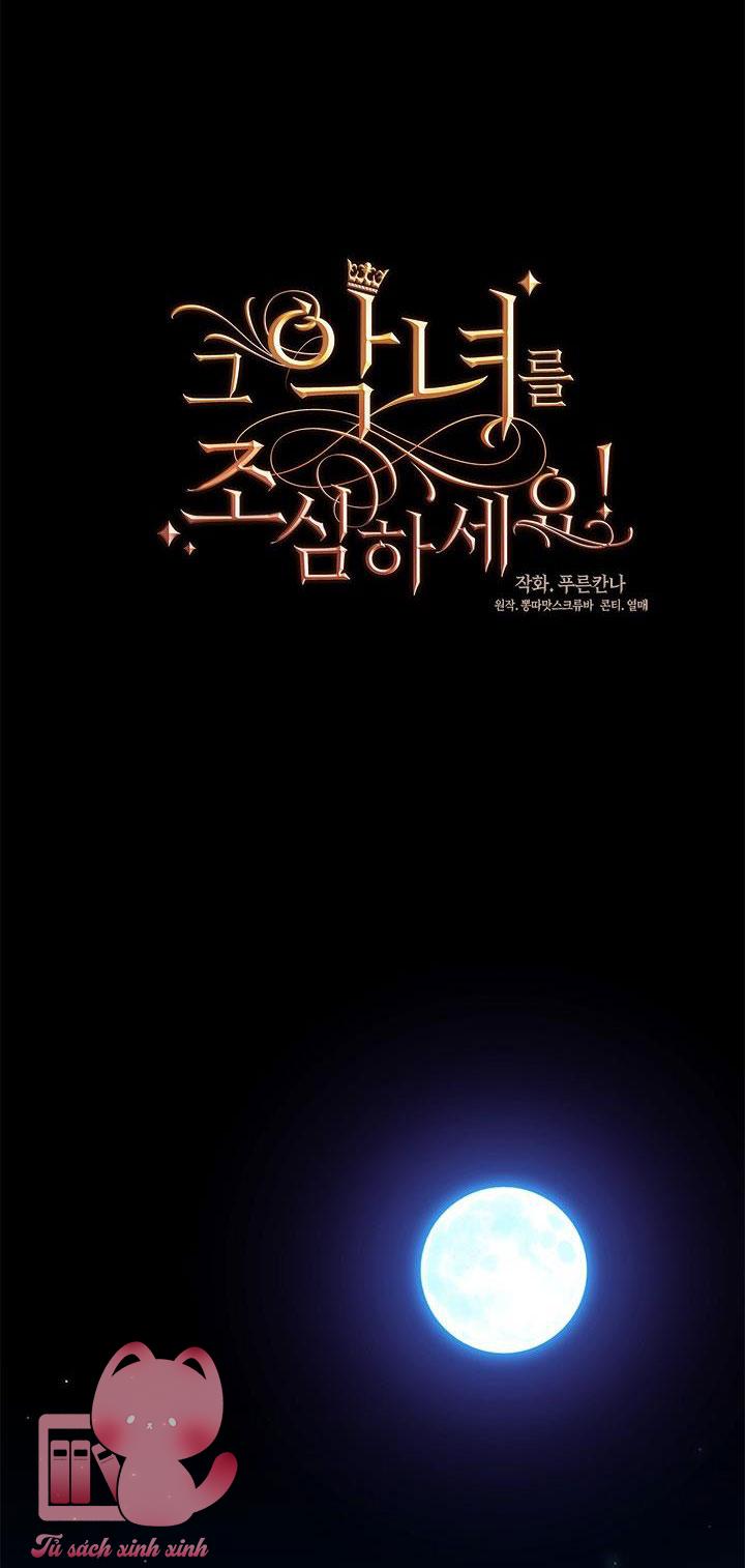 Hãy Coi Chừng Ác Nữ Chap NT11 - Trang 2