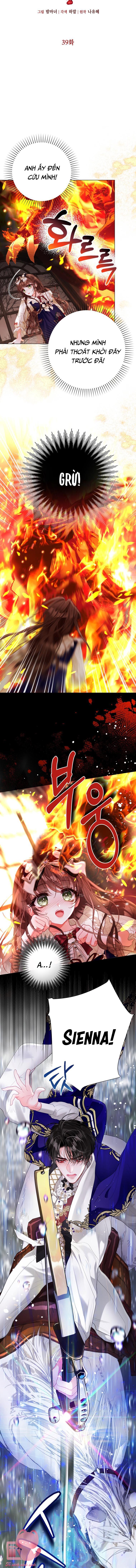 Một Thế Giới Không Có Chị Gái Mà Ai Cũng Yêu Chap 39 - Trang 4