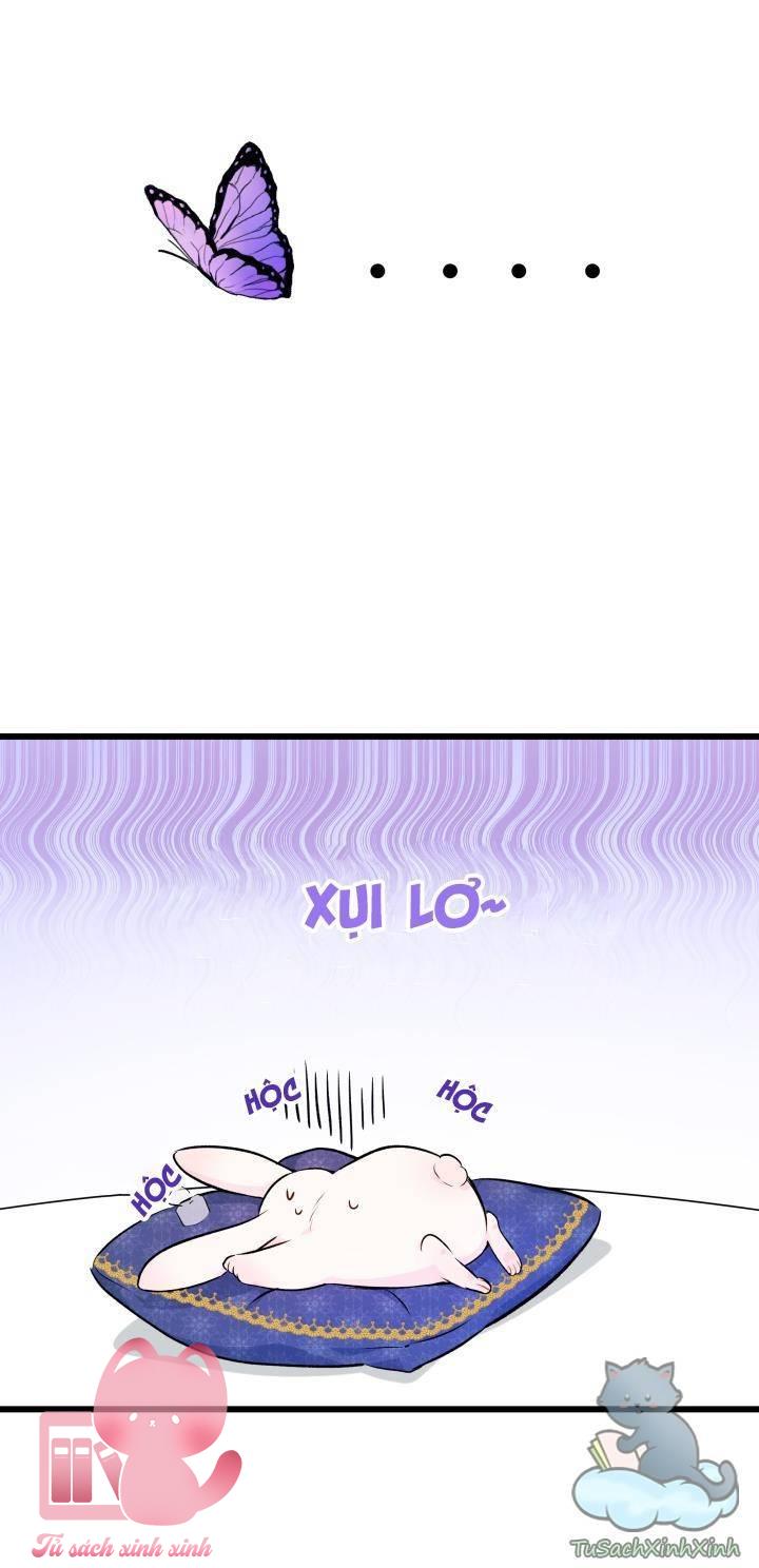 Quan Hệ Cộng Sinh Giữa Báo Đen Và Thỏ Trắng Chap 8 - Trang 2