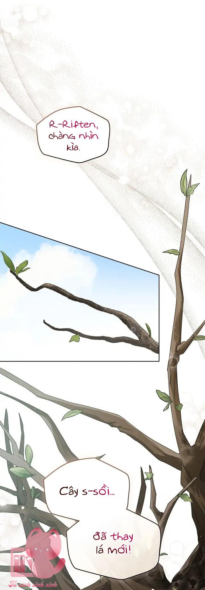 Dưới Tán Cây Sồi Chapter 78 - Next Chap 79