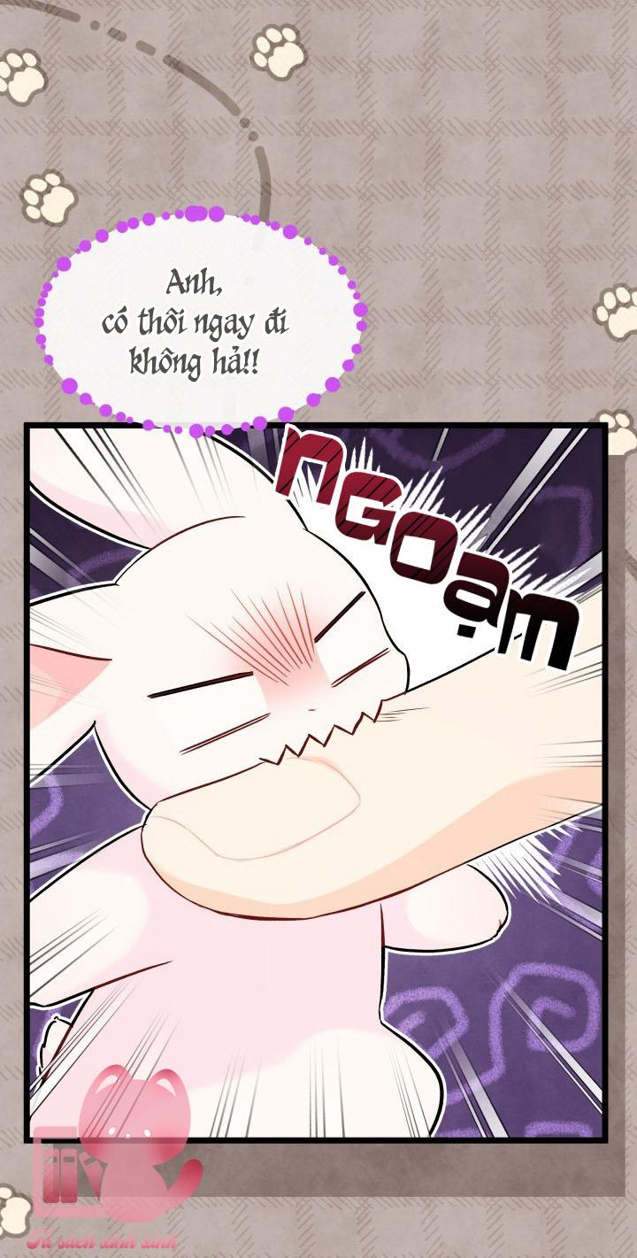 Quan Hệ Cộng Sinh Giữa Báo Đen Và Thỏ Trắng Chap 97 - Trang 2