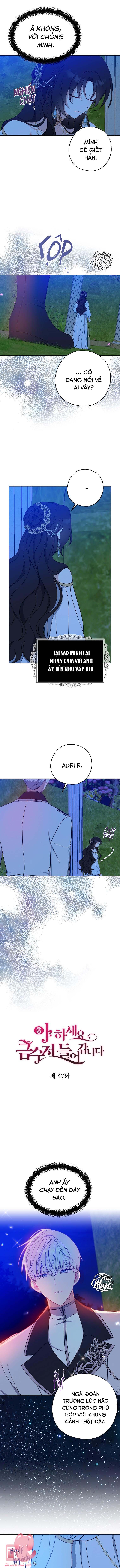 A Nào, Ngậm Thìa Vàng Nhé? Chap 47 - Trang 3