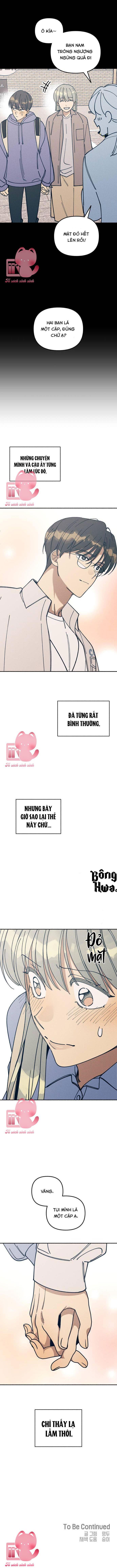 Tình Đầu Đáng Ghét Chap 14 - Trang 2