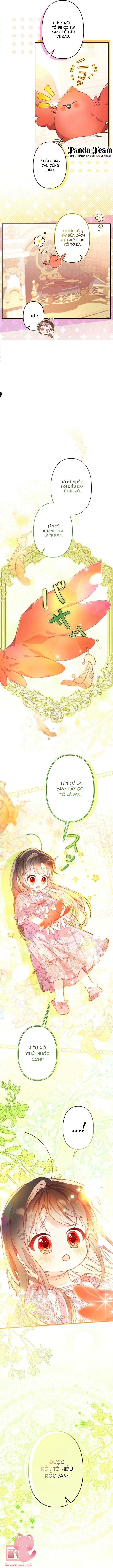 Kiếp Này Em Sẽ Không Sống Dưới Cái Bóng Của Người Chị Song Sinh Chap 11 - Trang 3