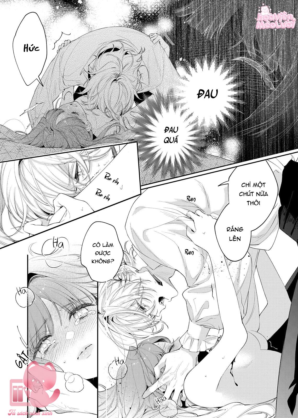 Hoa Hồng Ẩn Giấu Sao Băng Chapter 8 - Trang 4