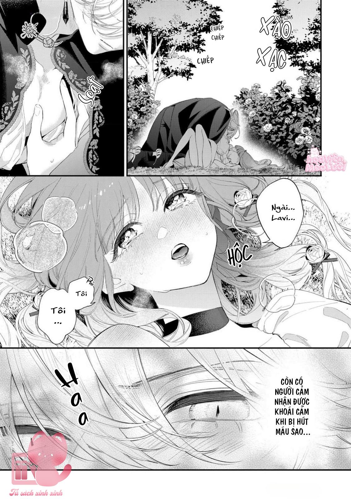 Hoa Hồng Ẩn Giấu Sao Băng Chapter 14 - Trang 4