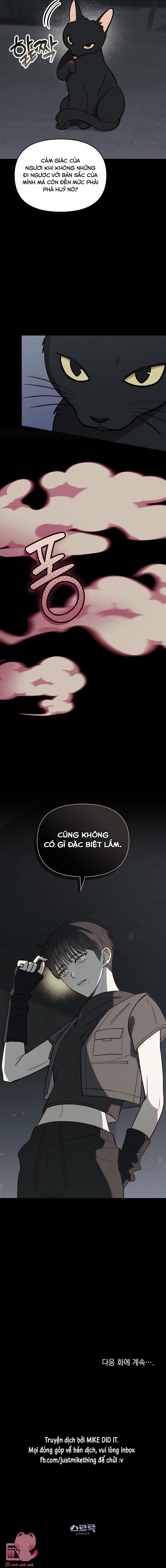 Tổng giám đốc, đồ khốn nạn! Chap 9 - Trang 2