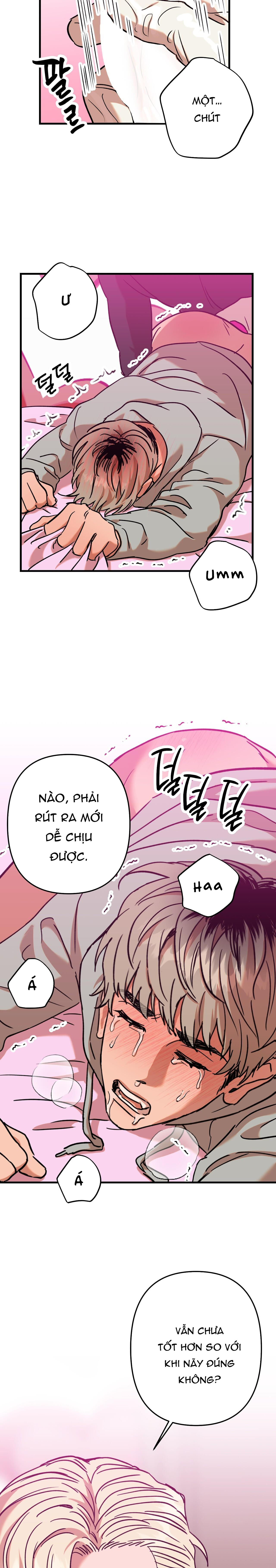 Bắt quả tang Chapter 4 - Next Chapter 5