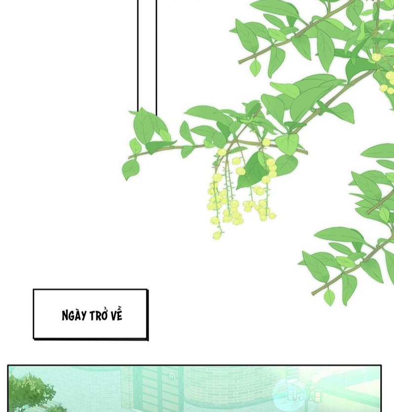 Tôi Thích Tin Tức Tố Của Cậu Chapter 44 - Trang 4