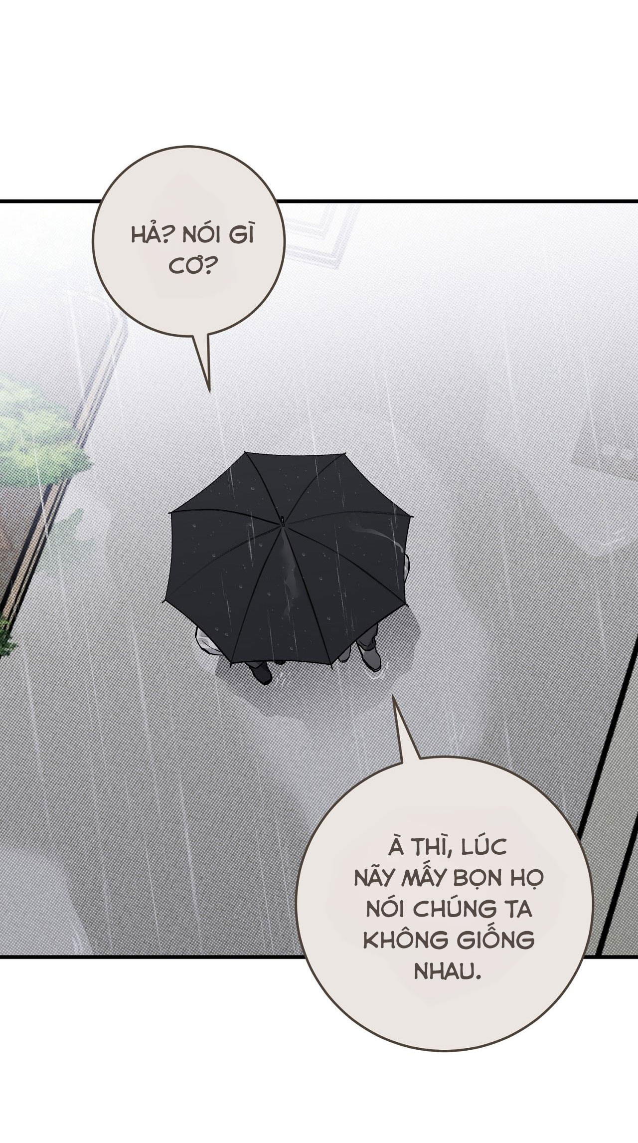 NĂM NAY SẼ KHÁC Chapter 4 - Trang 4