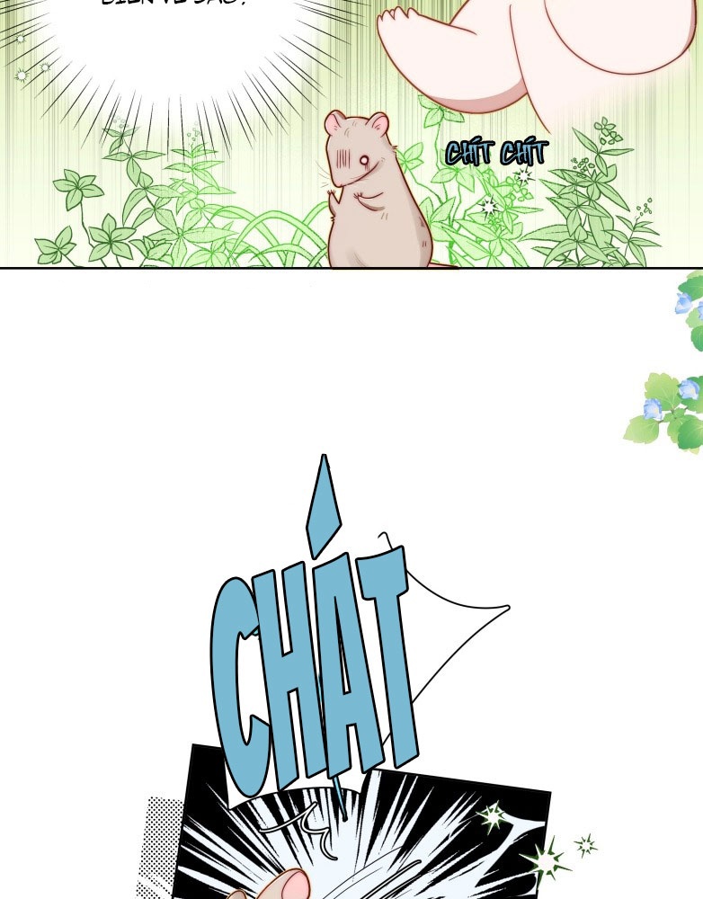 Sống Chung Cùng Kẻ Địch Trời Sinh Chapter 6 - Trang 4