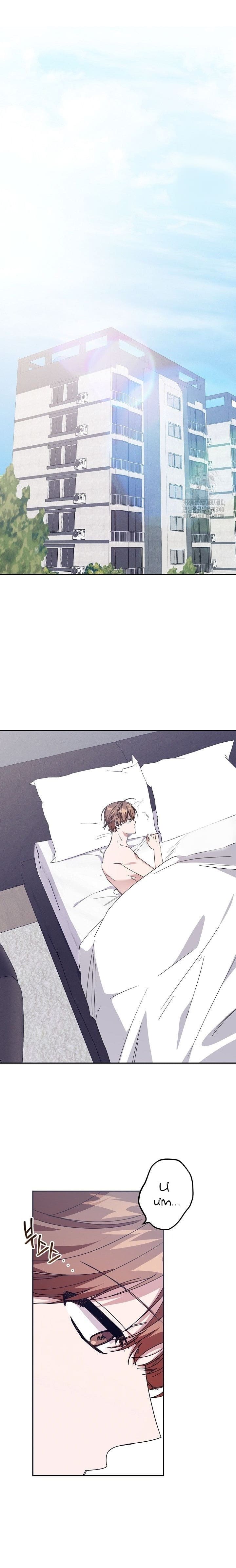 Partner Có Nhiệt Độ Tương Thích Chapter 3 - Trang 3