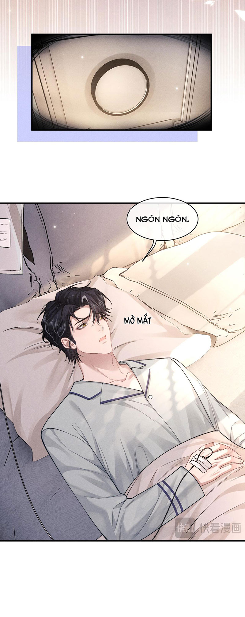 Chấp Sự Thỏ Cụp Tai Chapter 125 - Trang 4