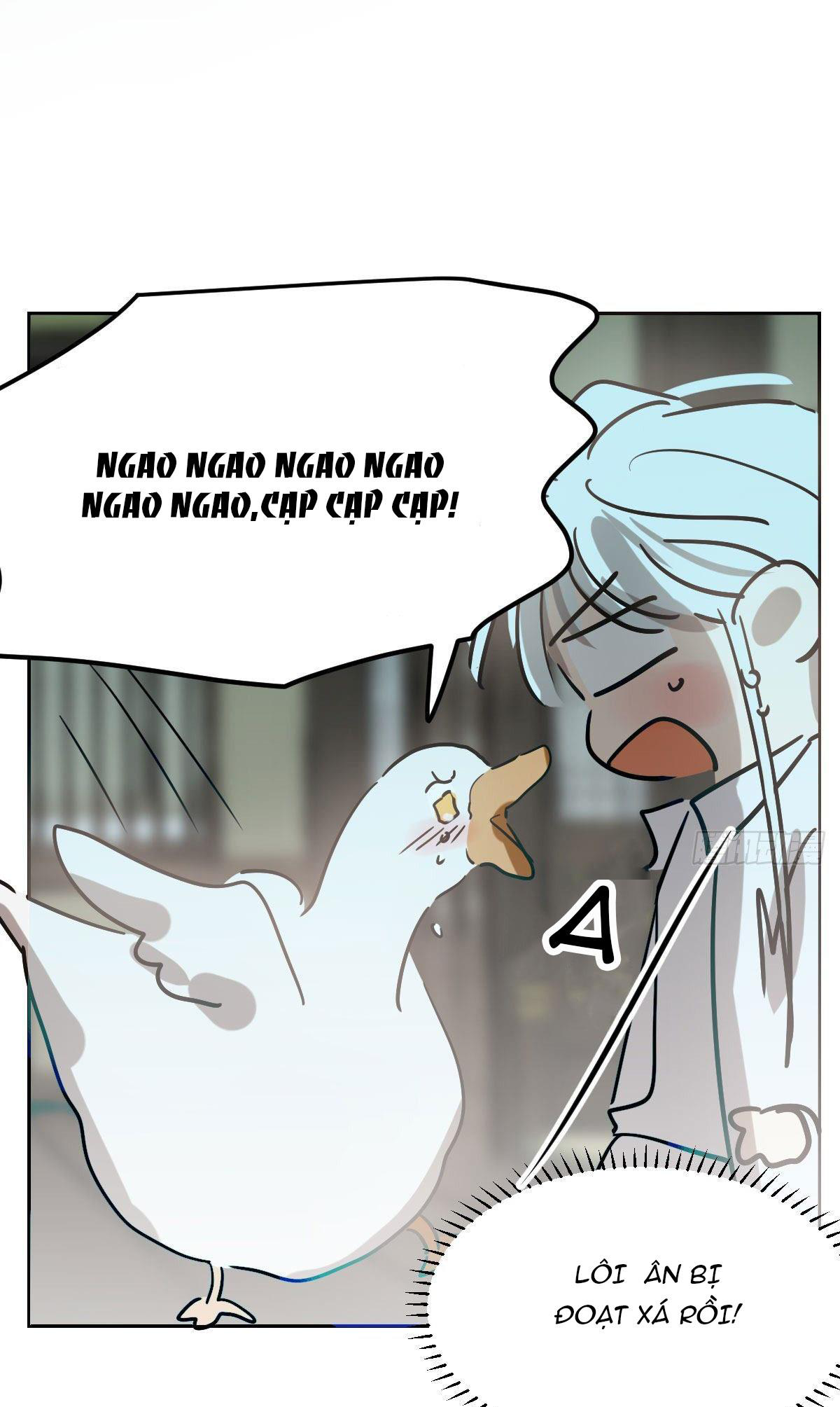 Bắt Lấy Ngao Ngao Chapter 208 - Trang 3