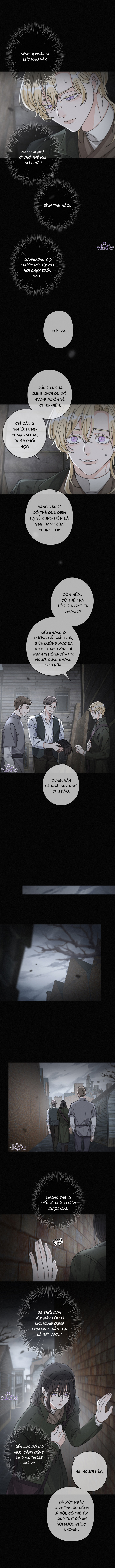 Lồng Giam Trong Ngục Tối Chapter 33 - Trang 2