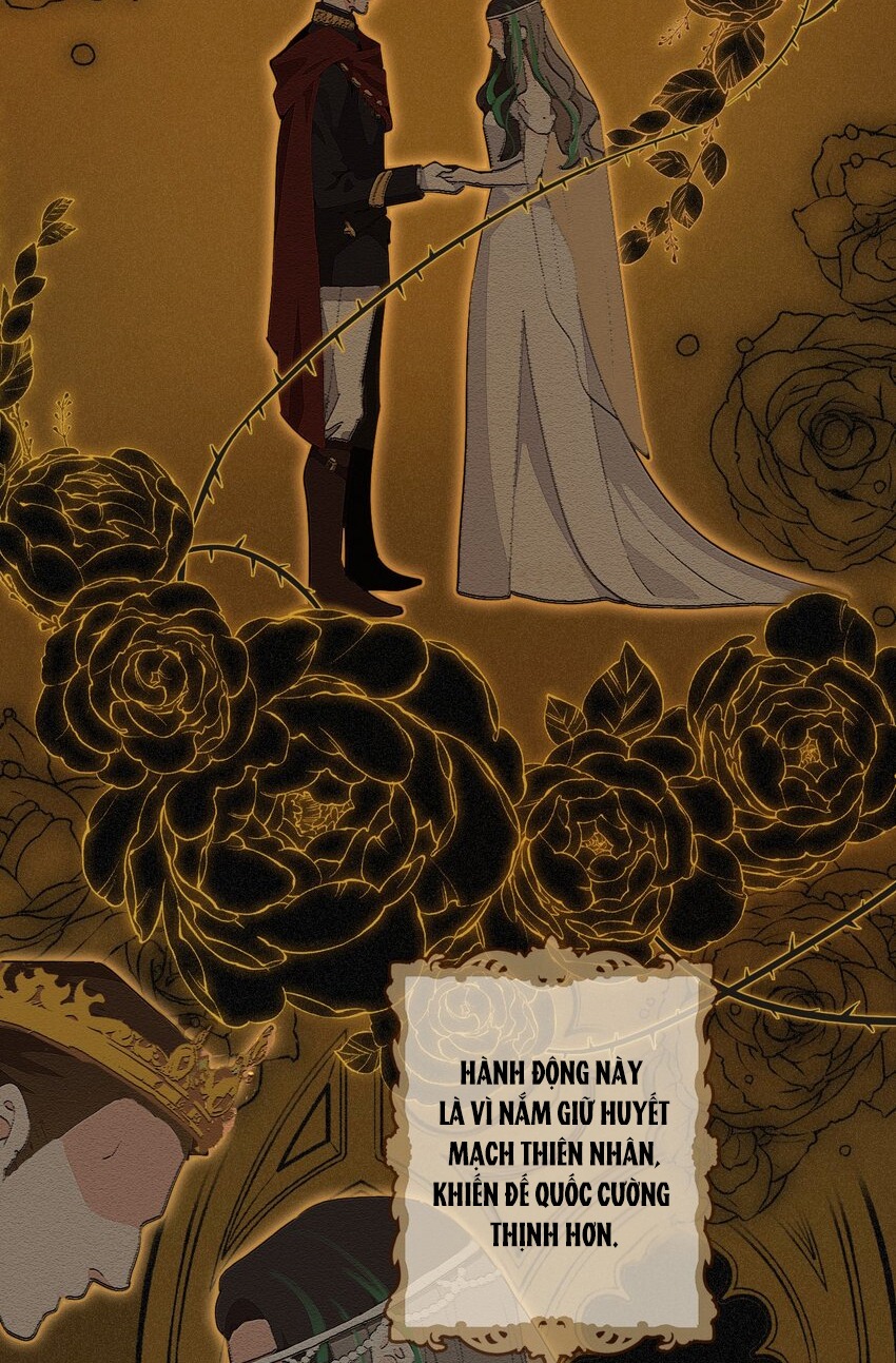 Khốn Thú Chi Nhiễm Chapter 2 - Next Chapter 3