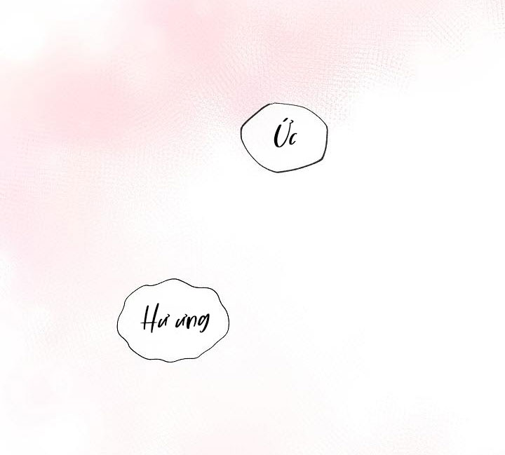 Tôn Sùng Pheromone Chapter 0 H+ - Trang 2