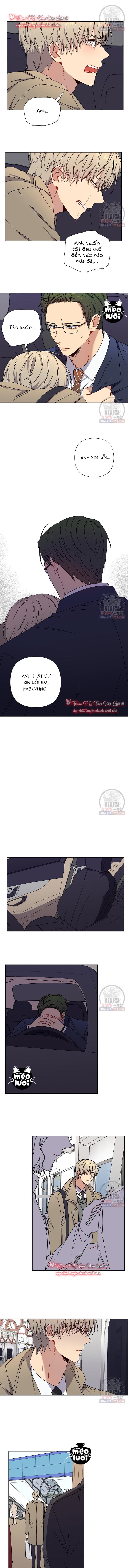 Vận Hạn Tình Yêu Chapter 5 - Trang 2