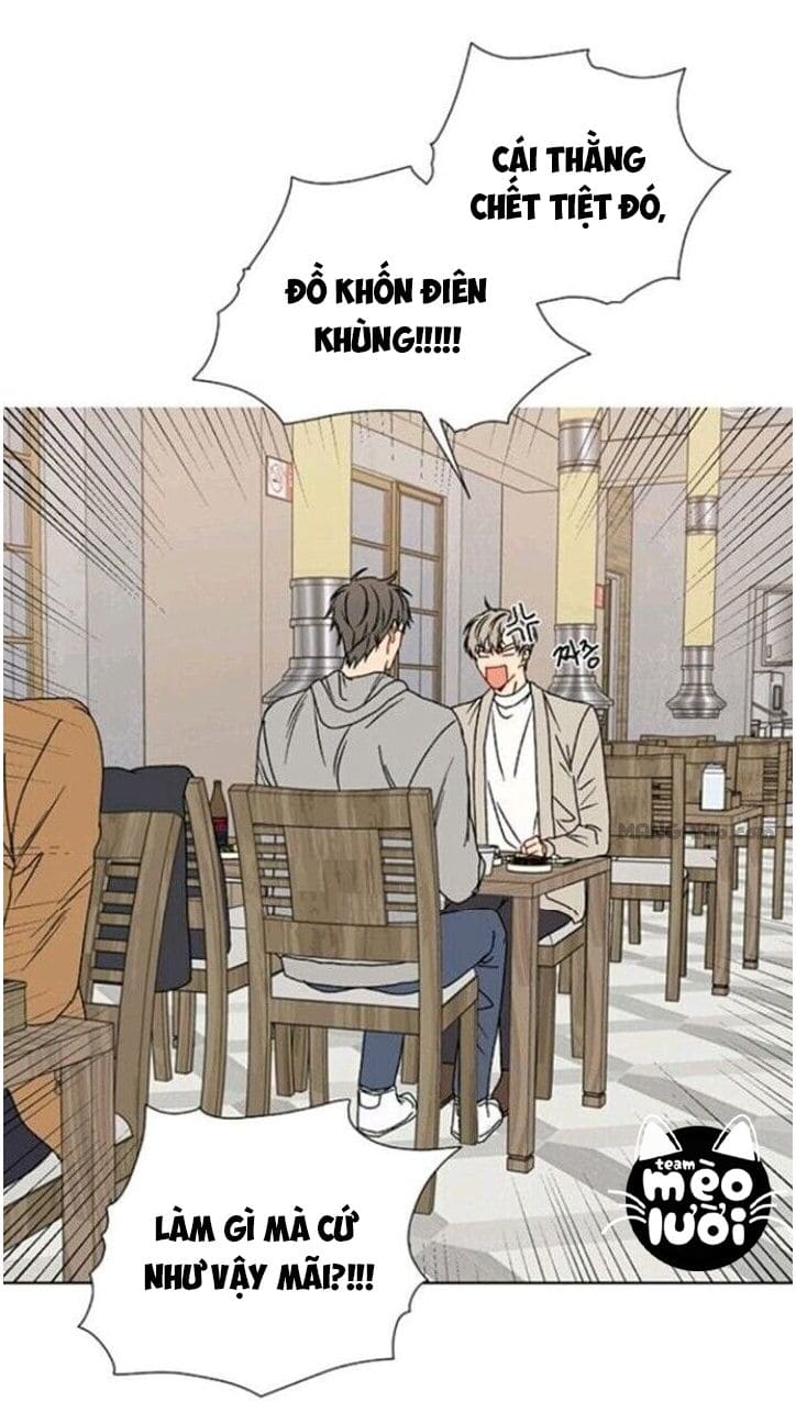 Vận Hạn Tình Yêu Chapter 8 - Trang 2