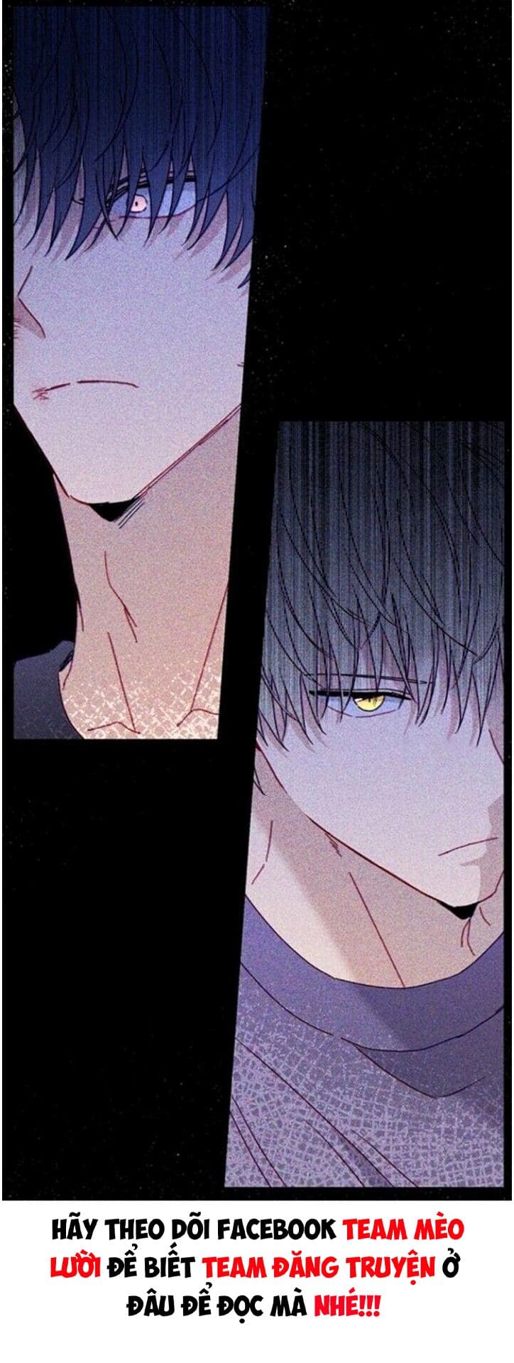 Vận Hạn Tình Yêu Chapter 8 - Trang 2