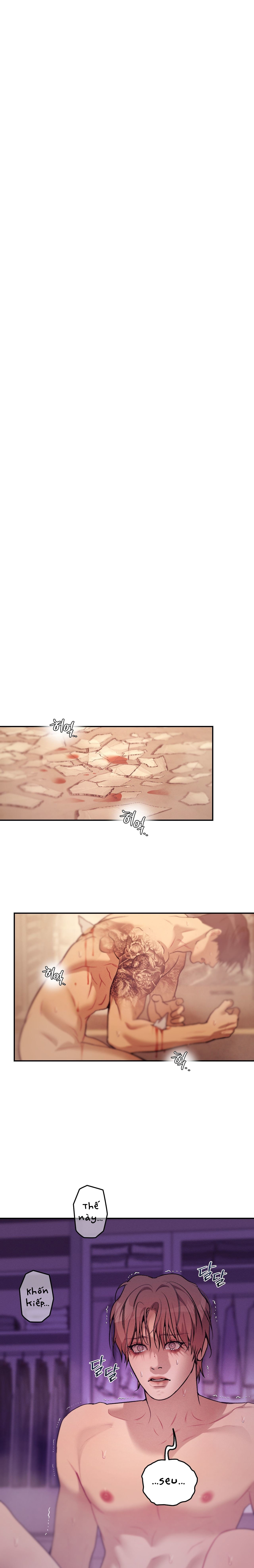 Thiếu Niên Sò: Khi Bình Minh Rực Cháy Chapter 24 H+ - Next 