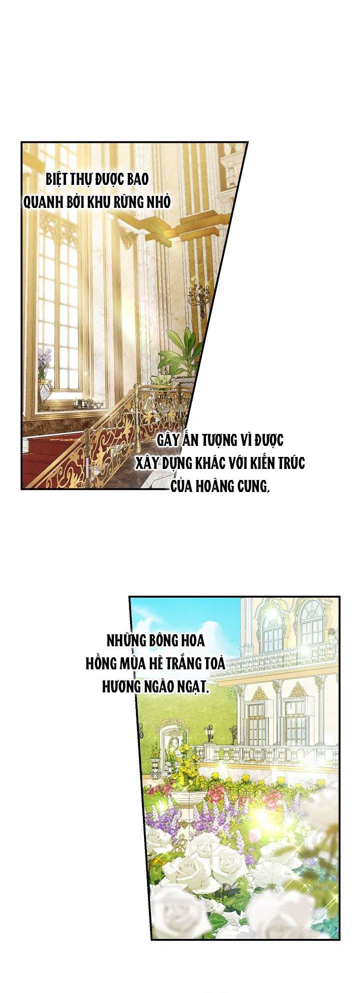 Lại Một Lần Nữa Hướng Về Ánh Sáng Chap 36 - Next Chap 37