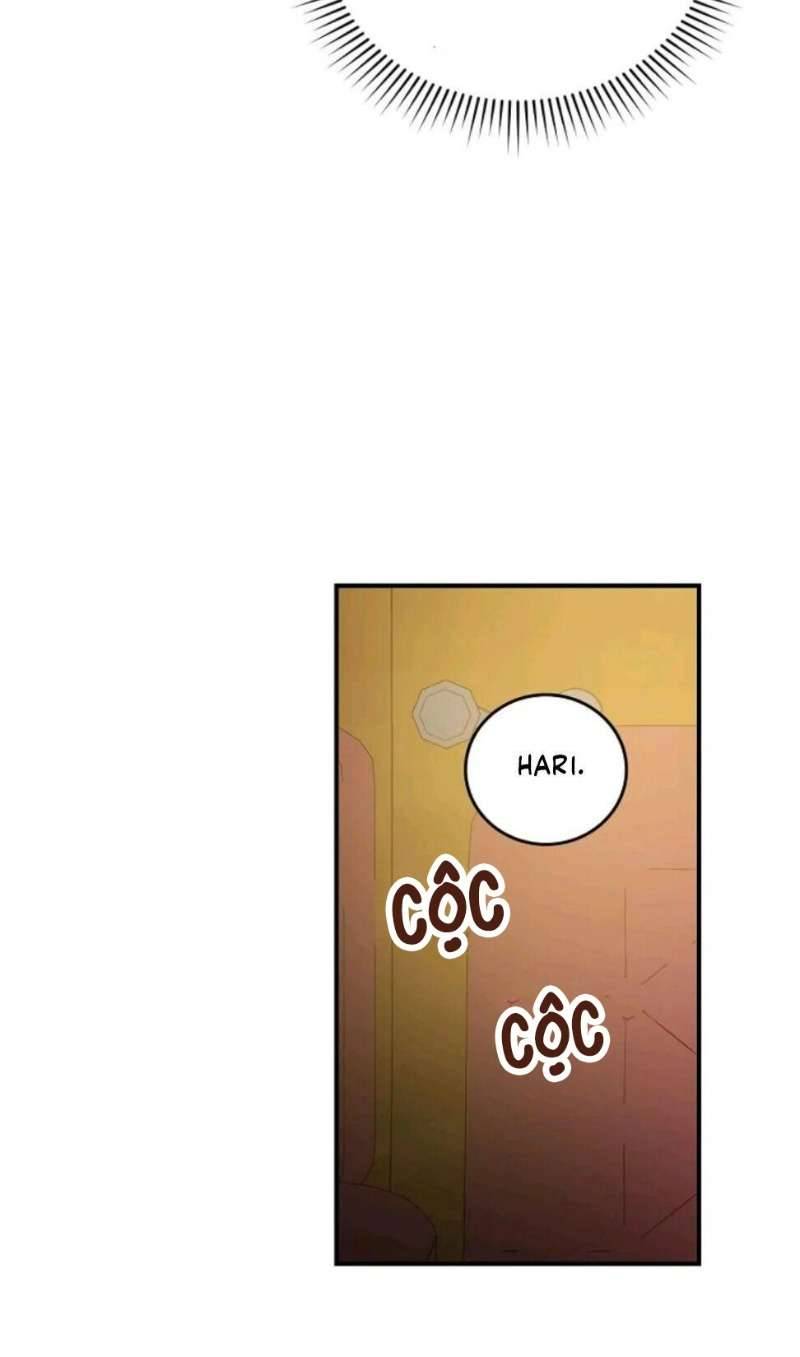 Cẩn Thận Với Các Anh Trai Đấy! Chap 55 - Next Chap 56