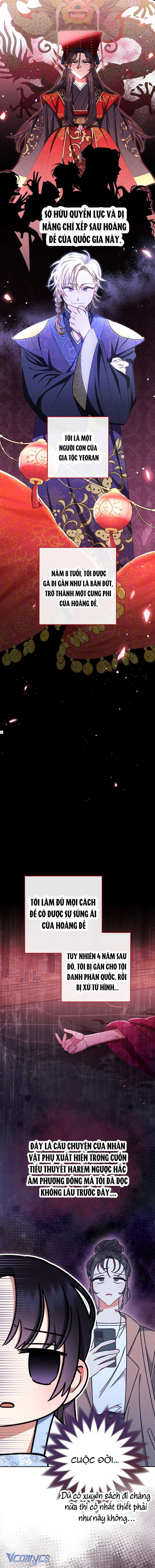 Tiểu Thiếp Chỉ Muốn Sống Yên Bình Chapter 1 - Trang 4