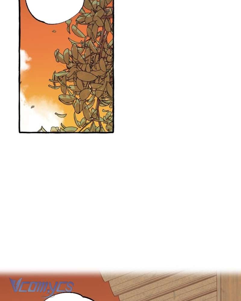 Chuyện Tình Hoa Lưu Ly Chap 2 - Trang 3