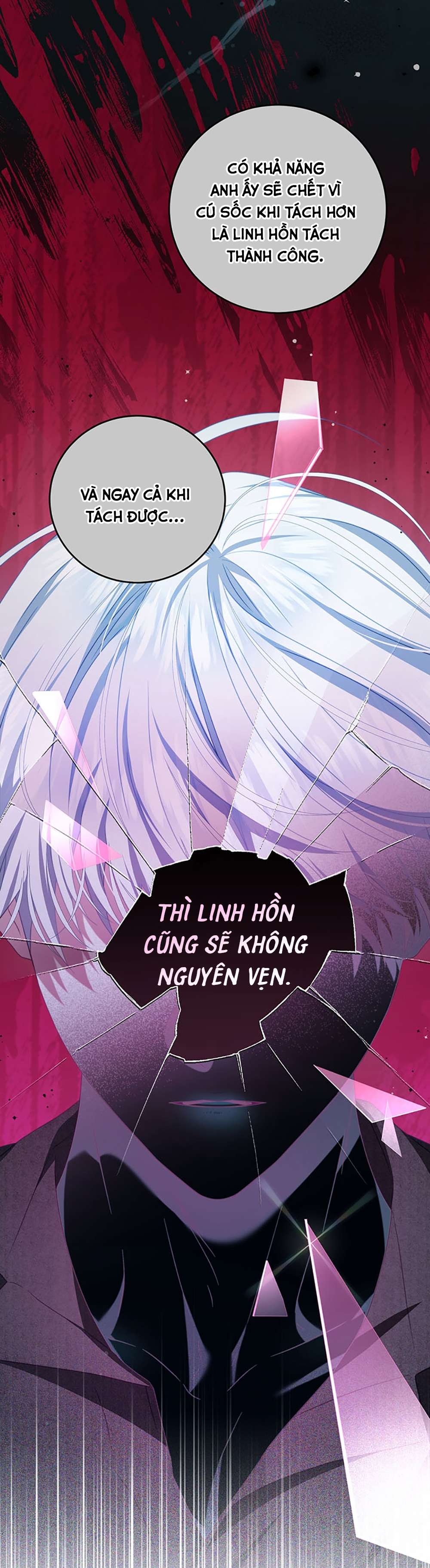 Trở Thành Tình Địch Của Các Nam Chính Chapter 74 - Trang 3