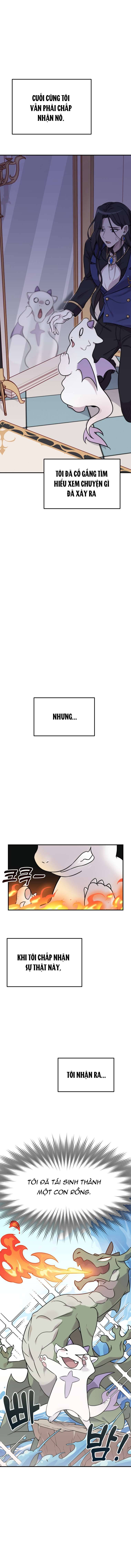 Quy tắc sống sót của con rồng sắp chết. Chap 1 - Trang 2