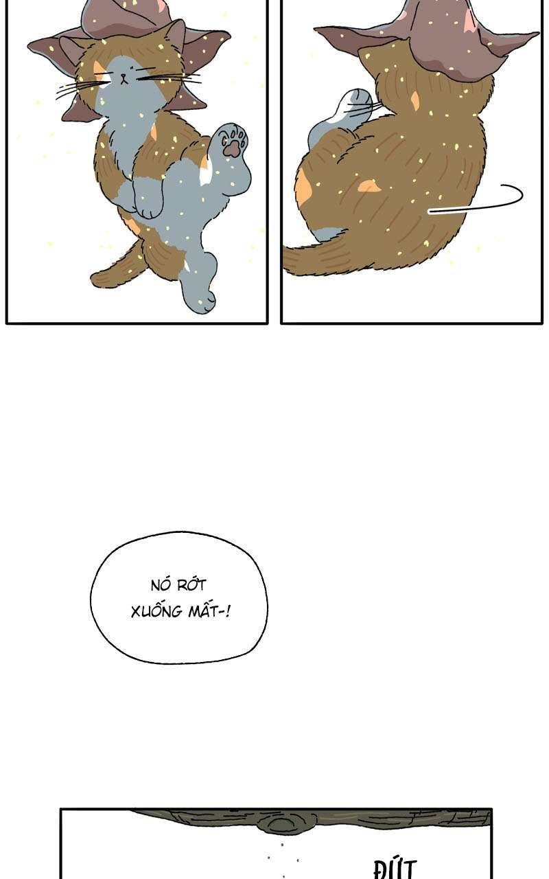 Chú Mèo Tata Chapter 2 - Trang 3