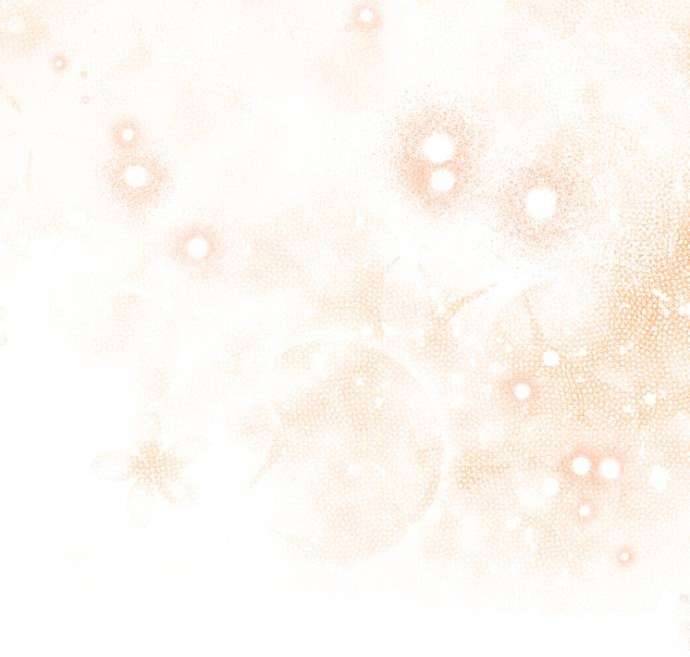 Tôi Tưởng Đó Chỉ Là Tiểu Thuyết Trọng Sinh Bình Thường Chap 28 - Trang 2