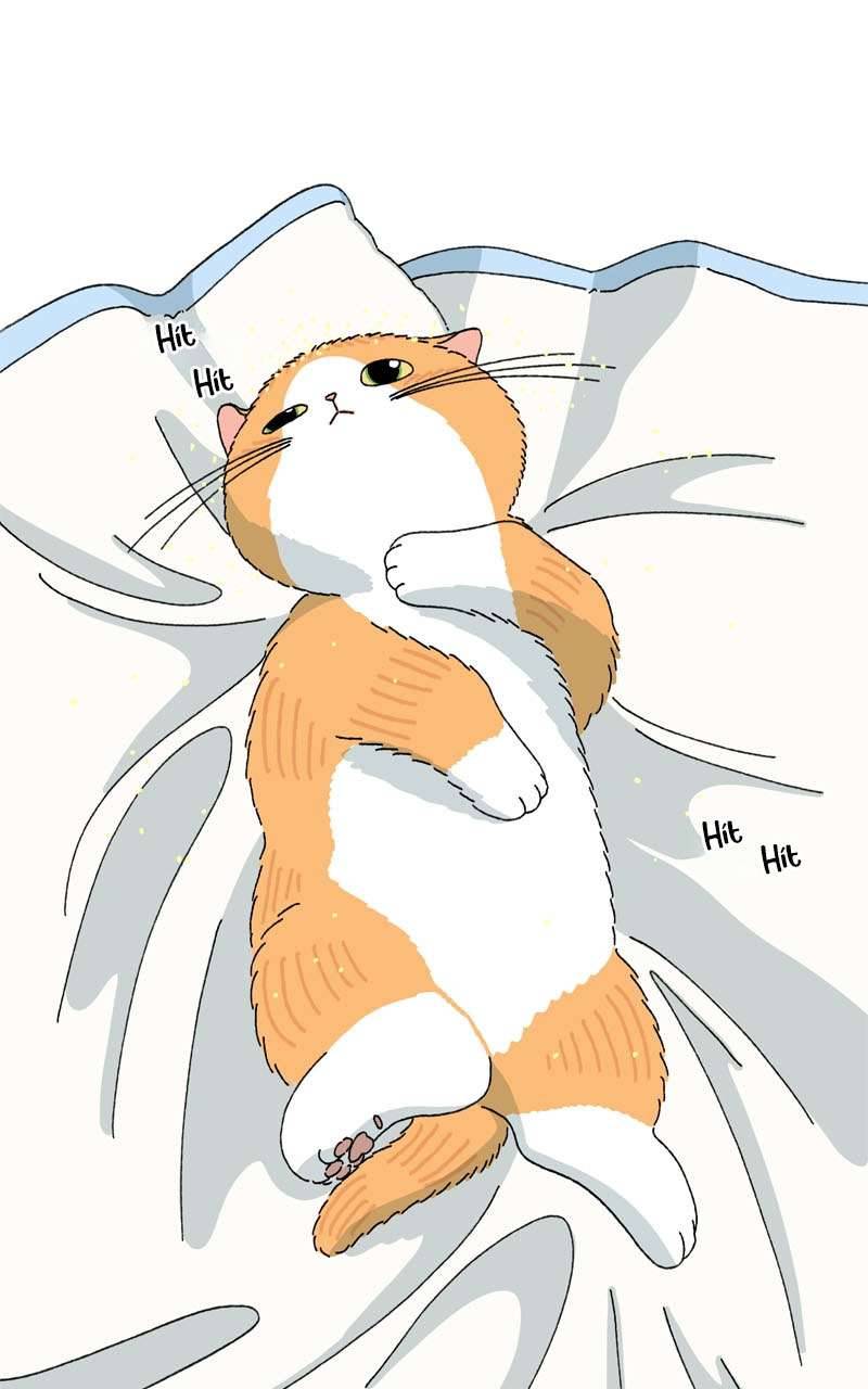 Chú Mèo Tata Chapter 3 - Trang 3