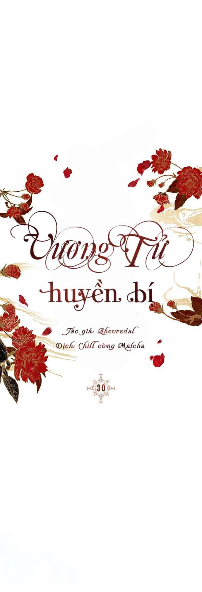 Vương Tử Huyền Bí Chapter 30 - Next Chapter 31