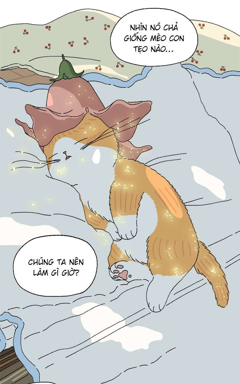 Chú Mèo Tata Chapter 2 - Trang 3