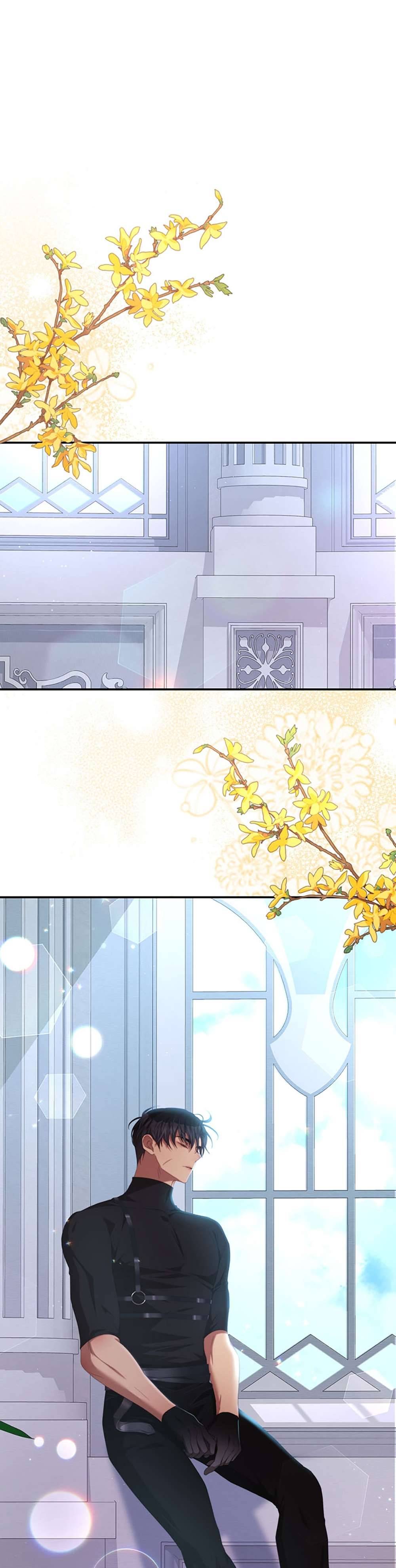 Trở Thành Tình Địch Của Các Nam Chính Chapter 65 - Next Chapter 66