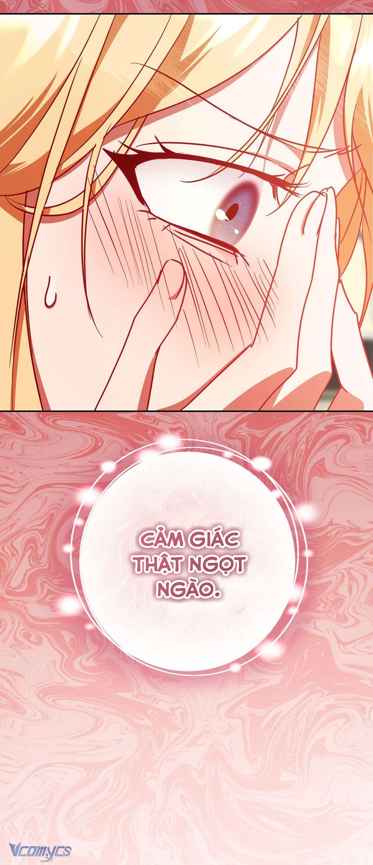 Thánh Nữ Giả Muốn Bỏ Trốn Chap 39 - Trang 4