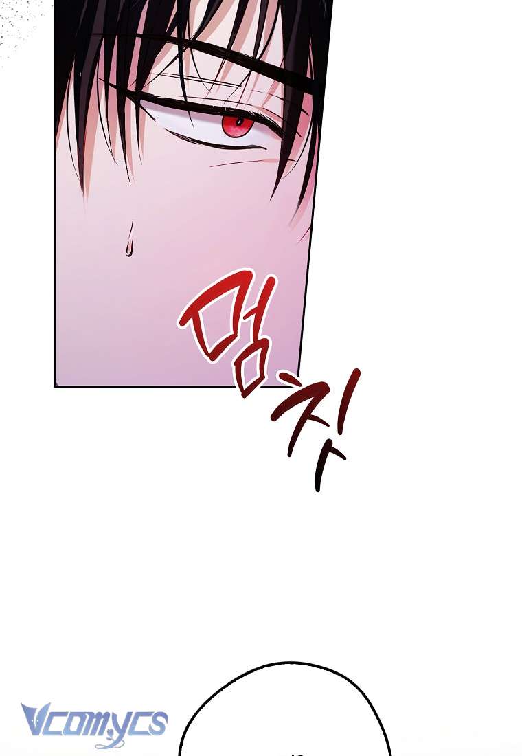 Các Nam Chính Đã Bị Nữ Phụ Cướp Mất Chap 23 - Trang 3