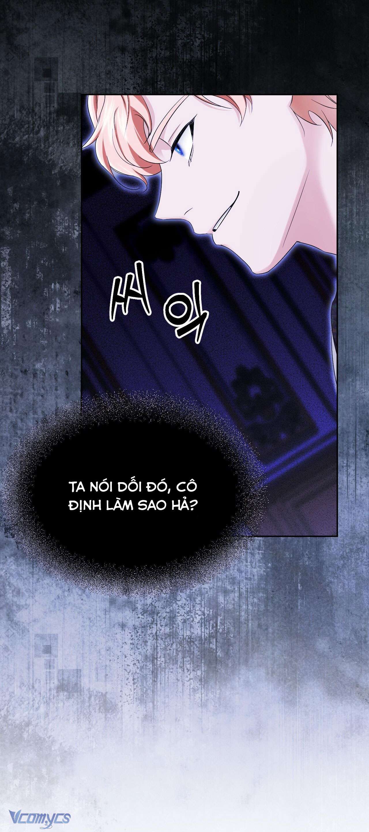 Thánh Nữ Giả Muốn Bỏ Trốn Chap 15 - Trang 4