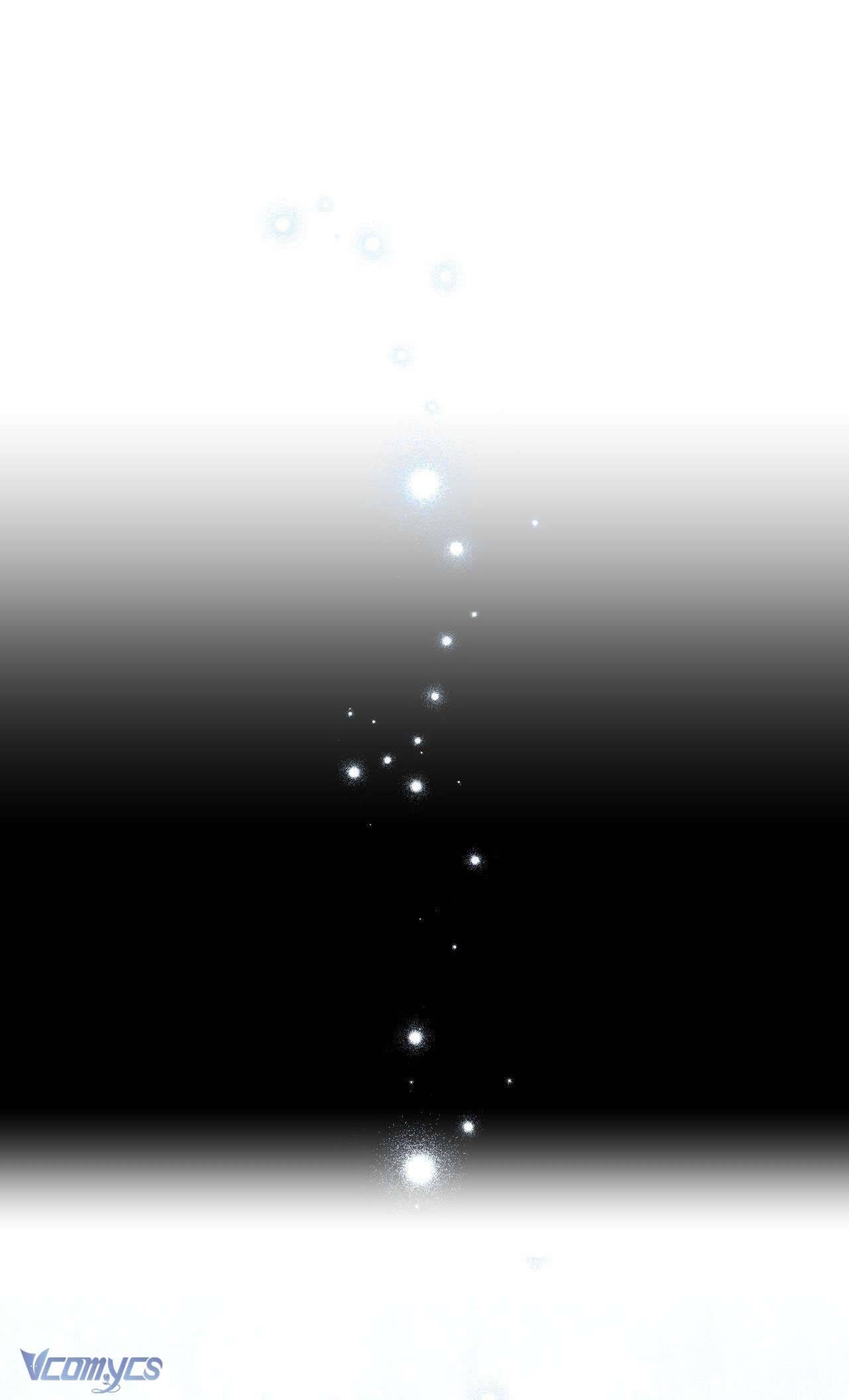 Thánh Nữ Giả Muốn Bỏ Trốn Chap 12 - Trang 4