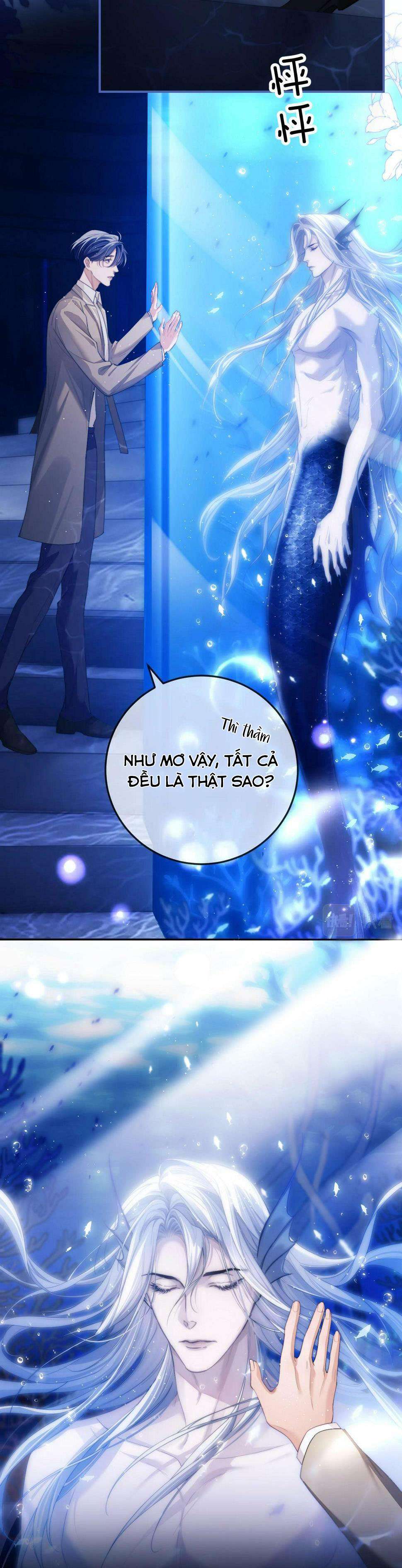 Nhân Ngư Desharow Chapter 2 - Trang 4