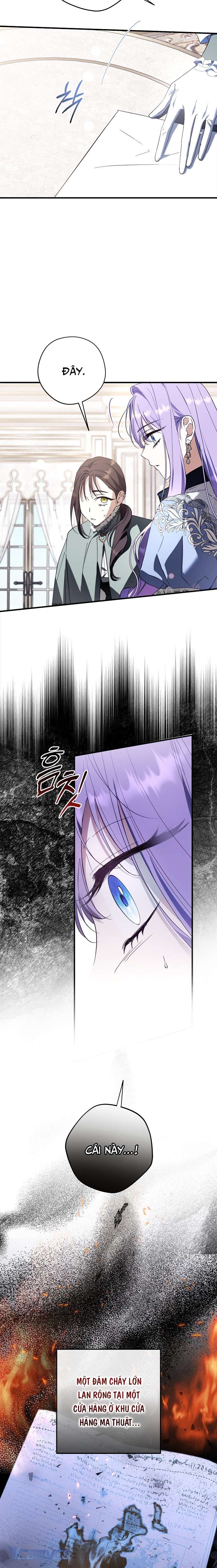 Các Nam Chính Đã Bị Nữ Phụ Cướp Mất Chap 33 - Trang 3