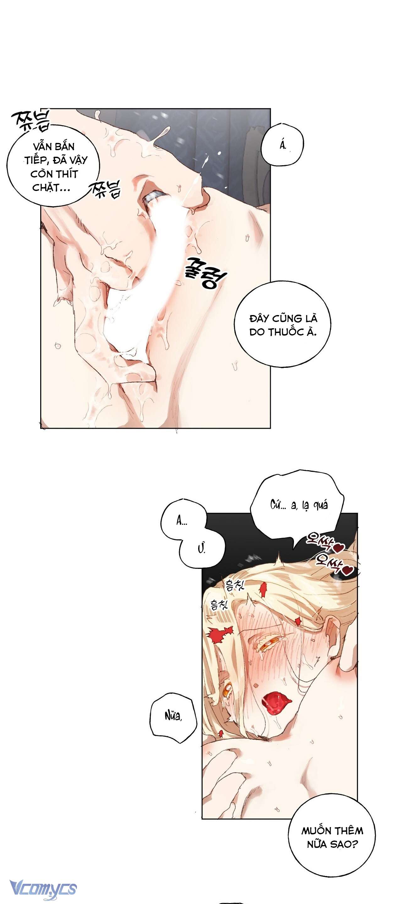 Cách một thánh nữ sa ngã sống cùng quỷ dữ Chap 17 - Trang 2