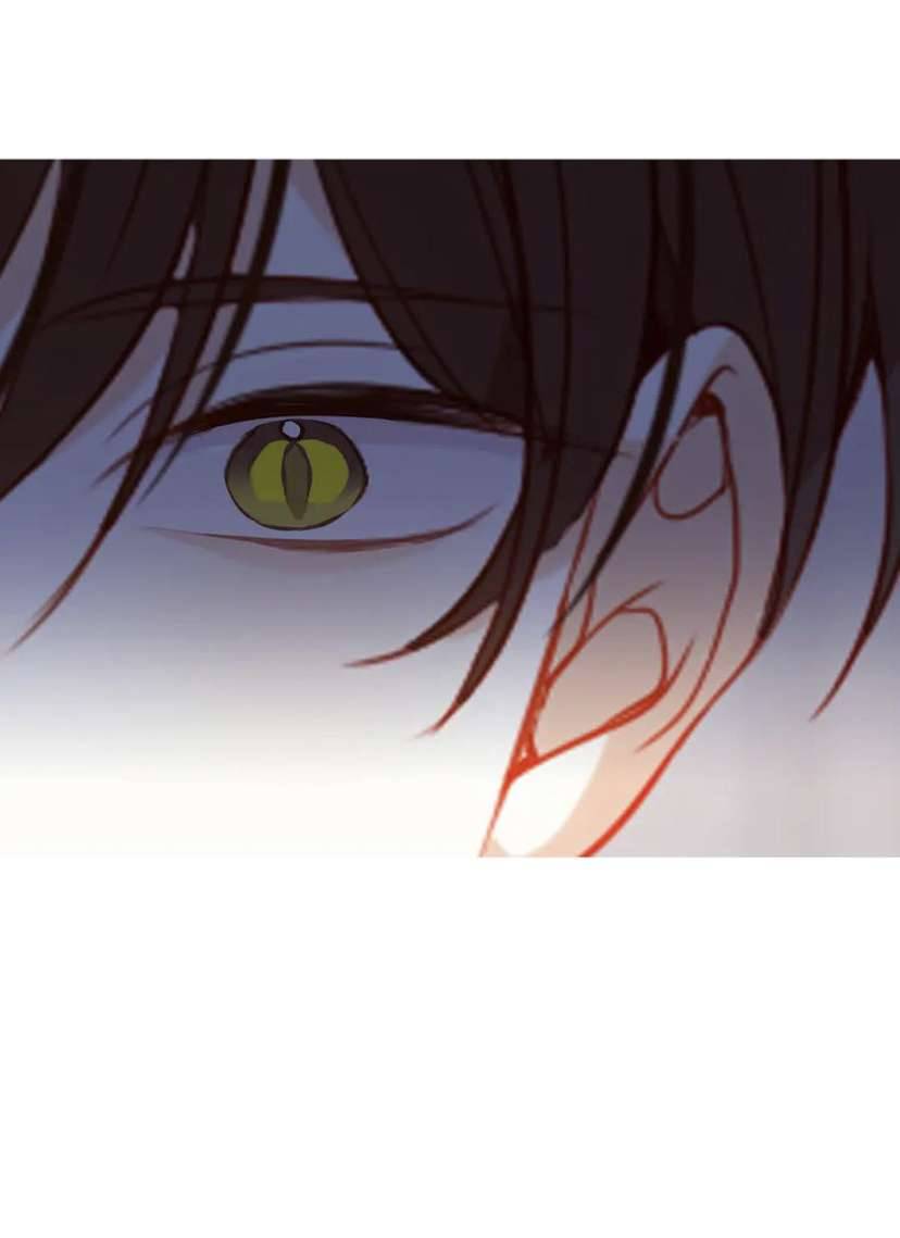 Quán Kịch Bản Trần Mộng Chapter 75 - Trang 4